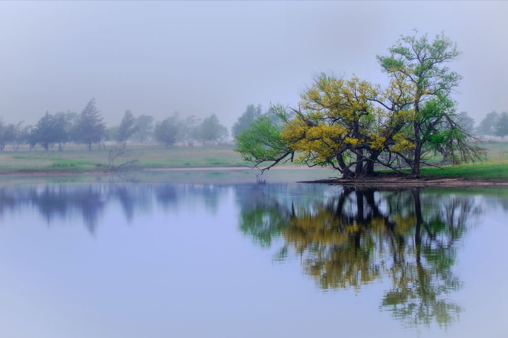 Reflections of Autumn