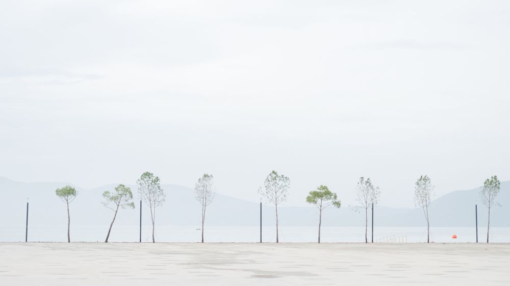 Photograph by Alex Belov