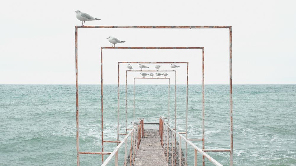 Photograph by Alex Belov