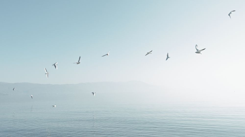 Photograph by Alex Belov