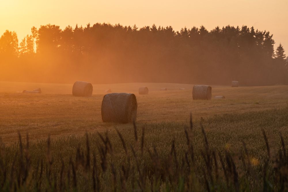 Photograph by Gatis Vilbrants