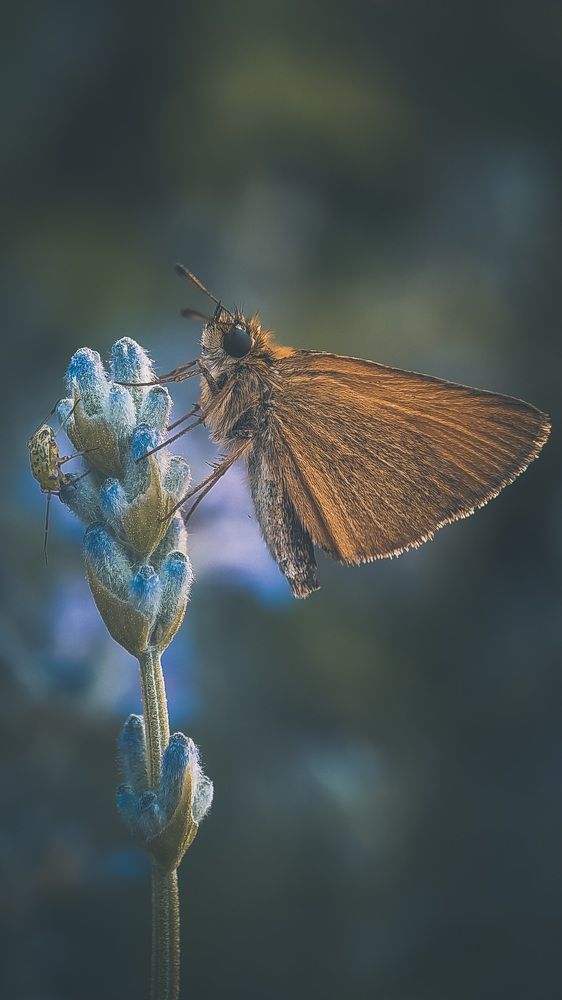 Photograph by Ирина Львова