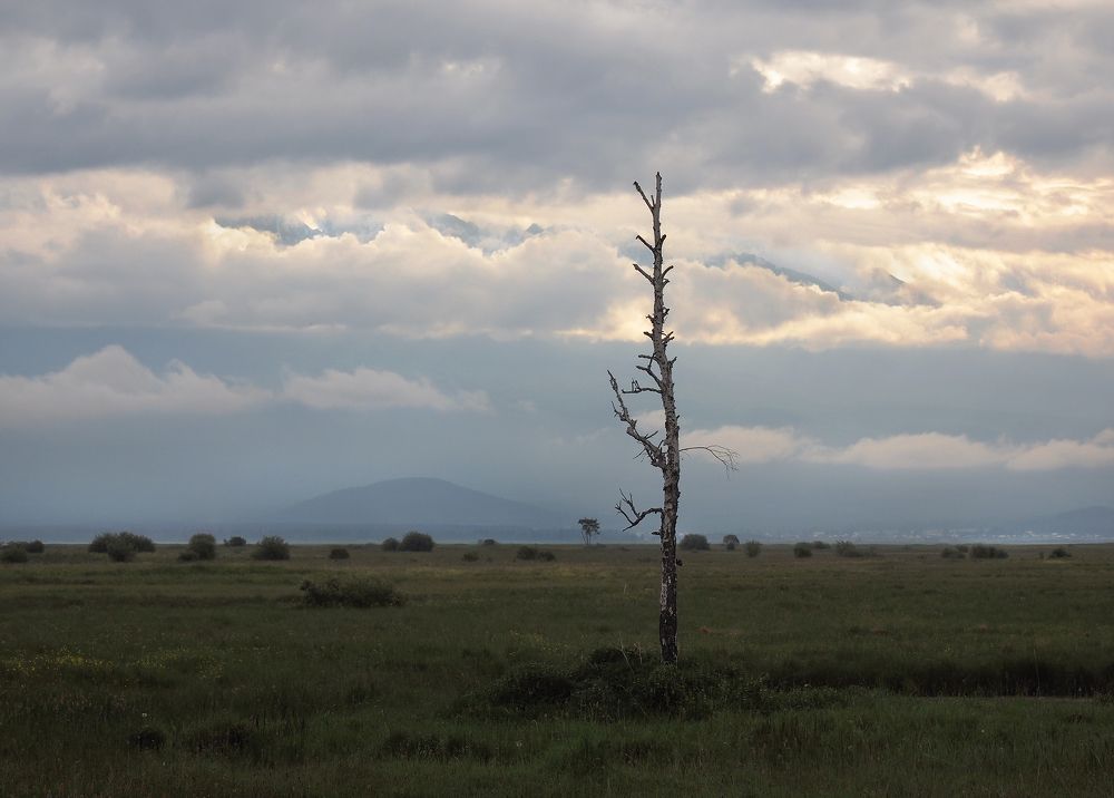 Photograph by Александр Попов