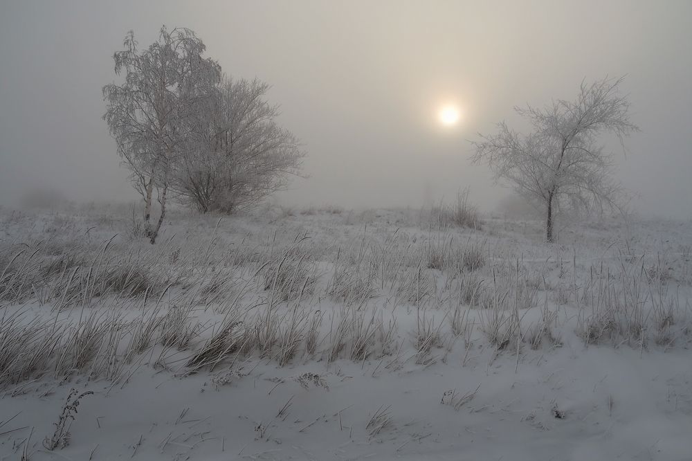 Photograph by Александр Попов