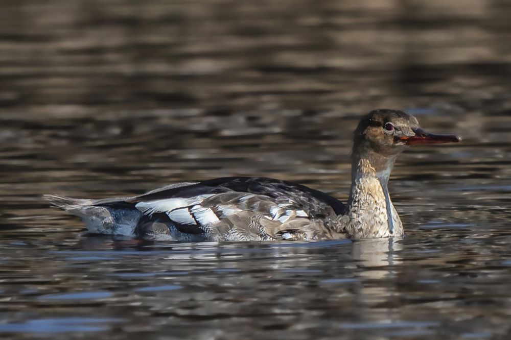 Спокойствие