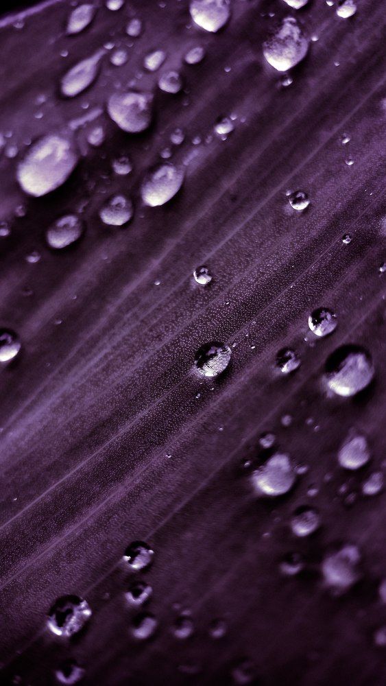 Photograph by Ирина Львова