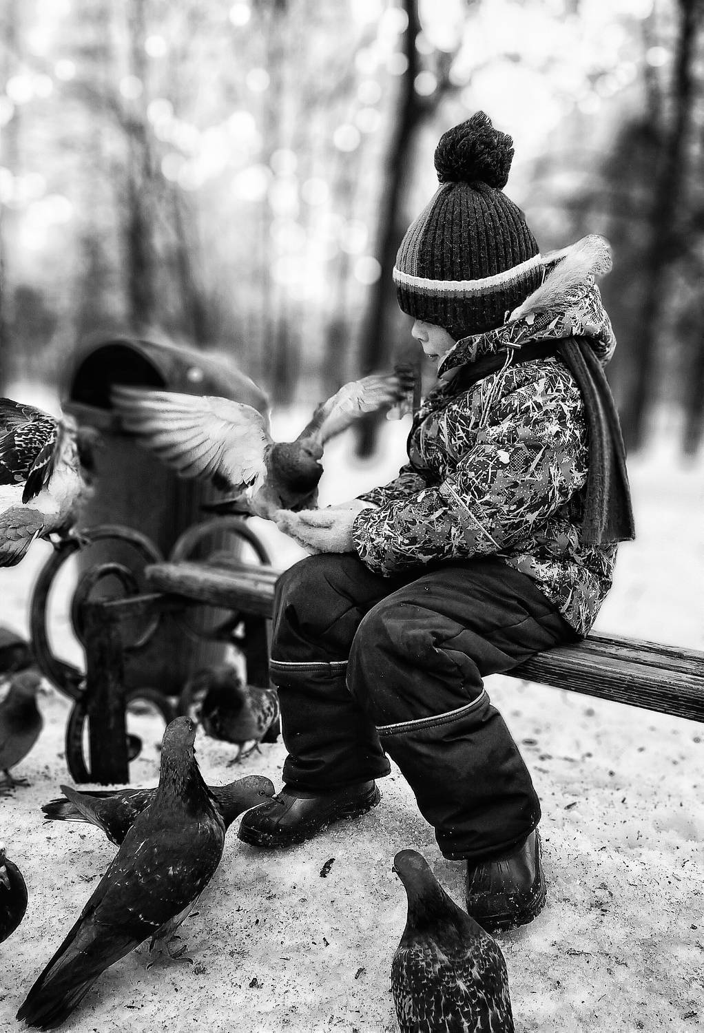 Photo #7283009