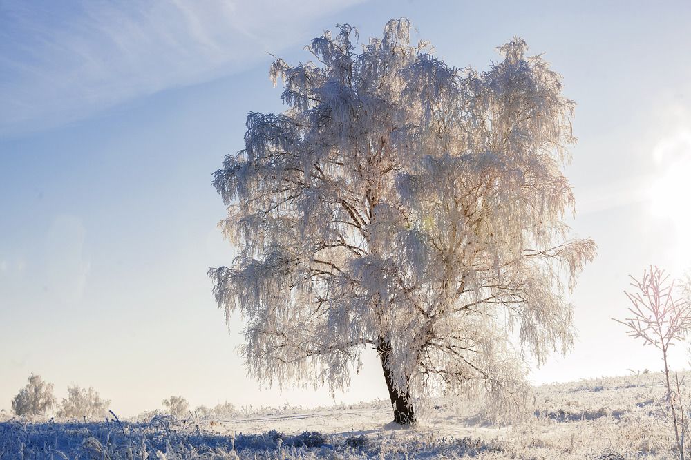 Фотография автора Рамиль Фаттахов