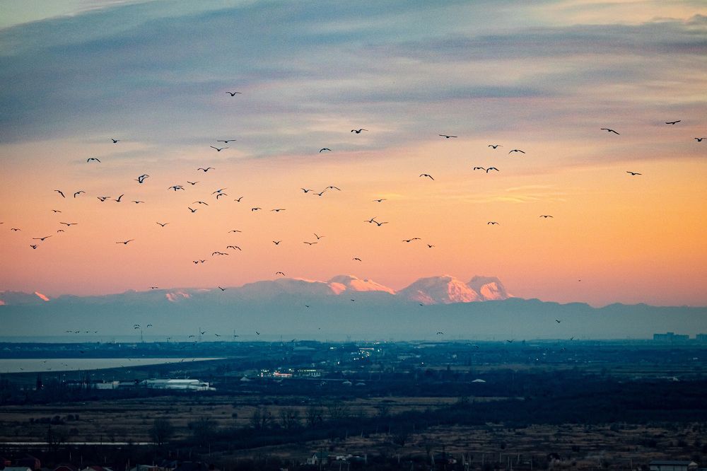 Фотография автора Дмитрий Черкасов