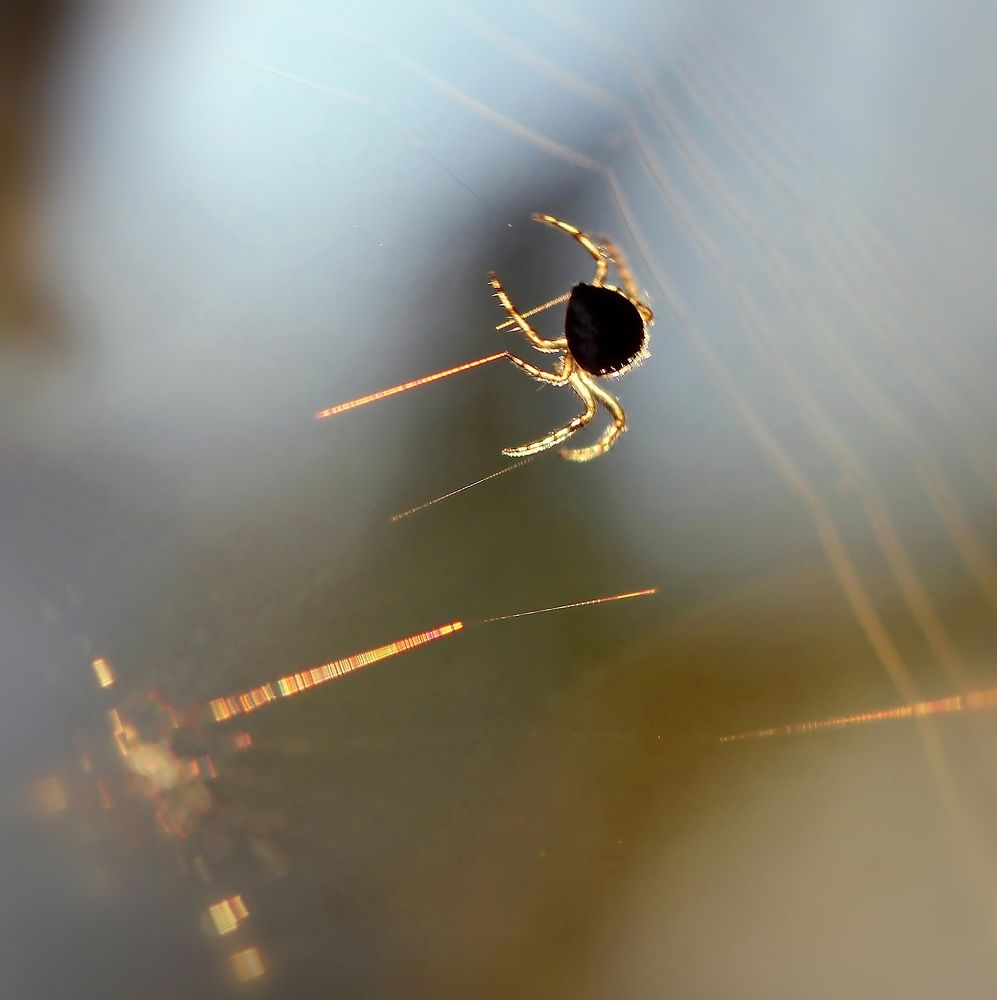 Photograph by Любовь Саханова