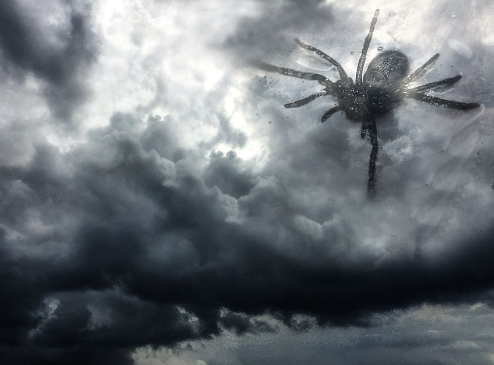 Photograph by Viviana García