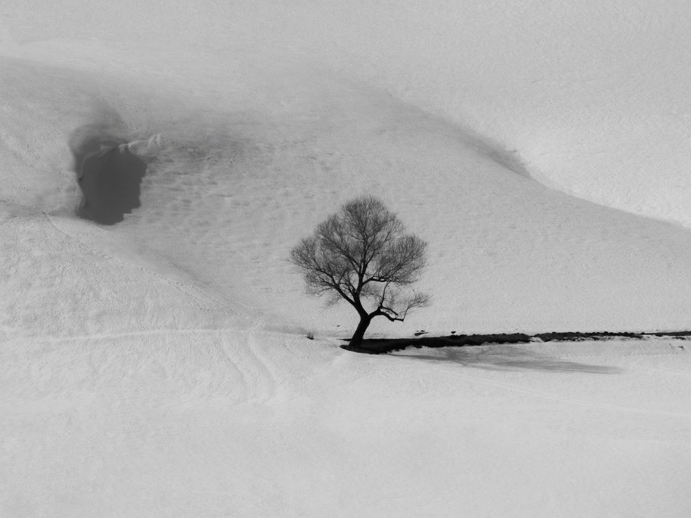 Фотография автора Alipour mohammad