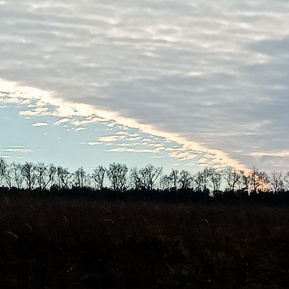 Photograph by Железцов Александр Федорович