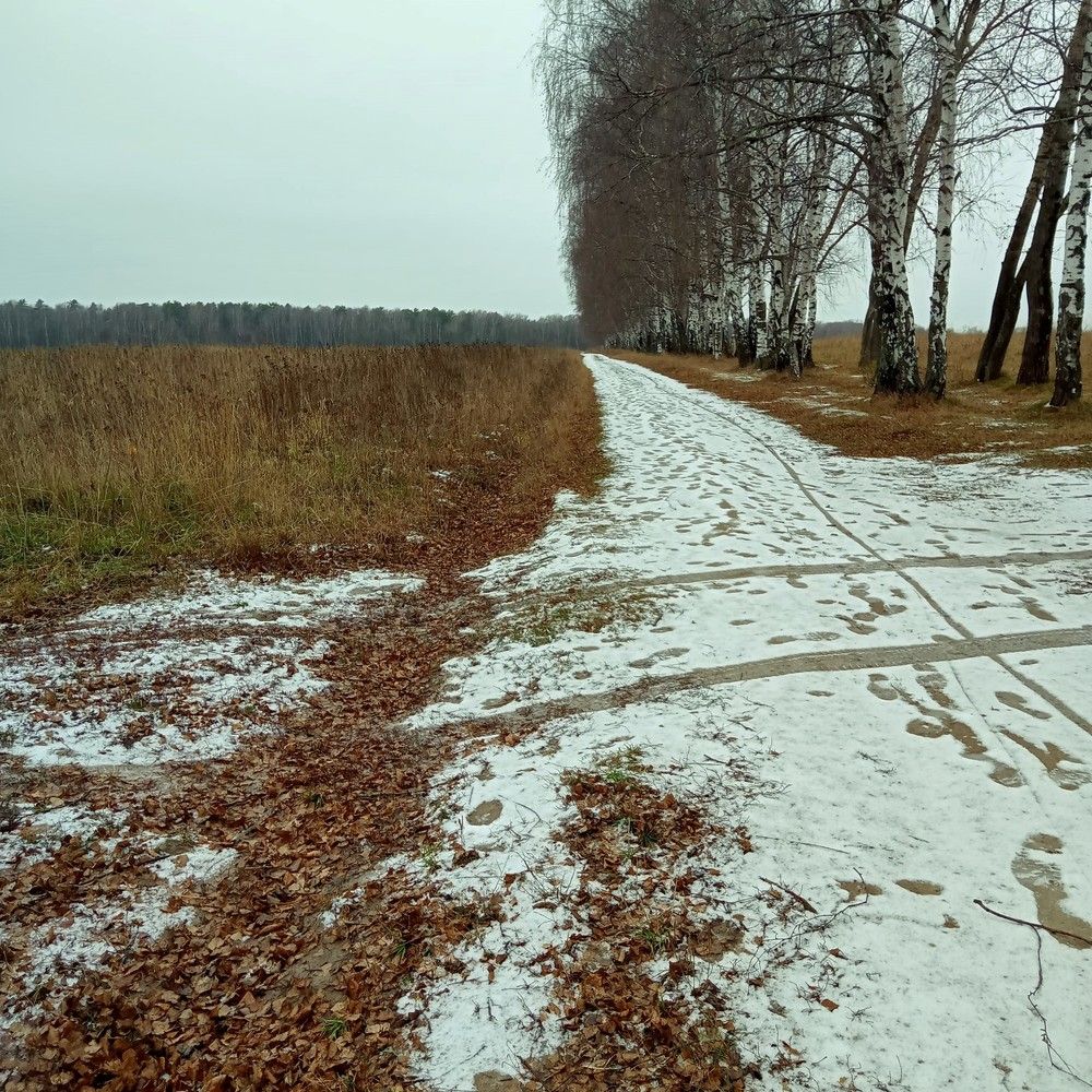Photograph by Железцов Александр Федорович