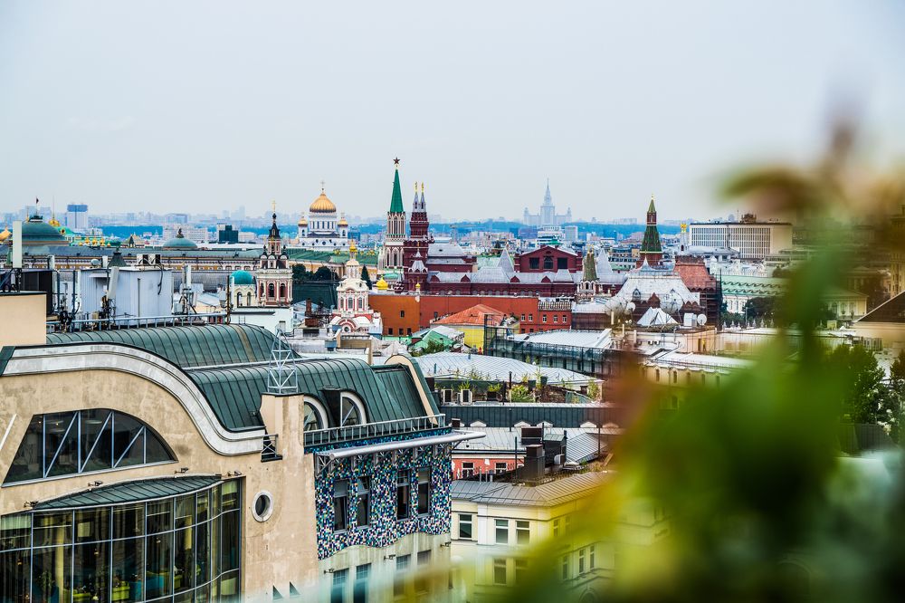 Фотография автора Василиса Новикова