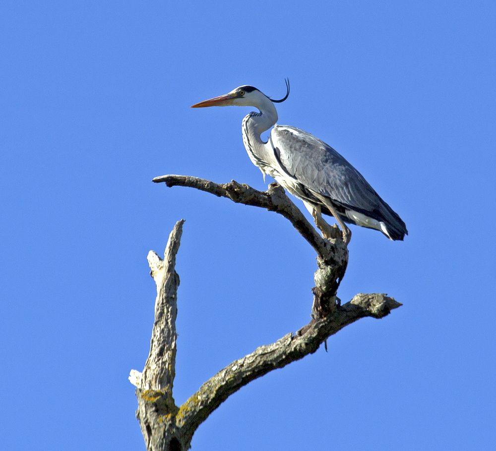 Photograph by Игорь Селин