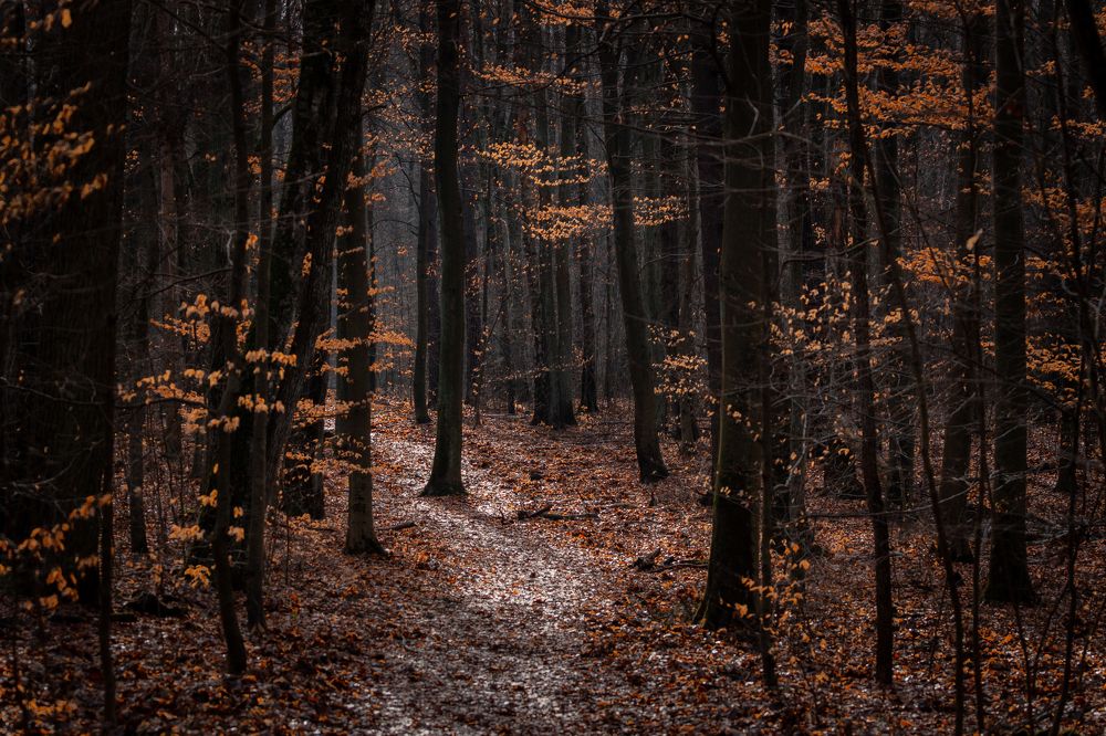 Photograph by Дмитрий Федорченко