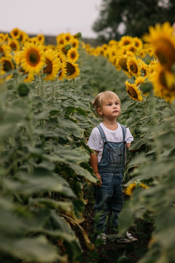 Photograph by Наталия Непомнящая