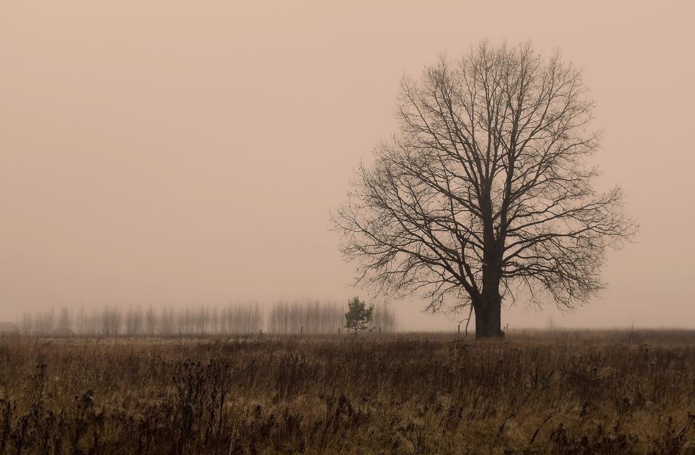 Одиночество.