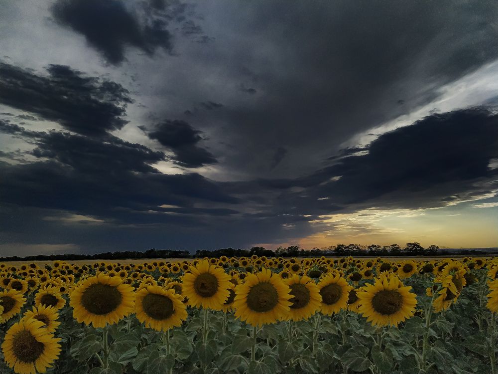 Фотография автора Наталья Алексеева