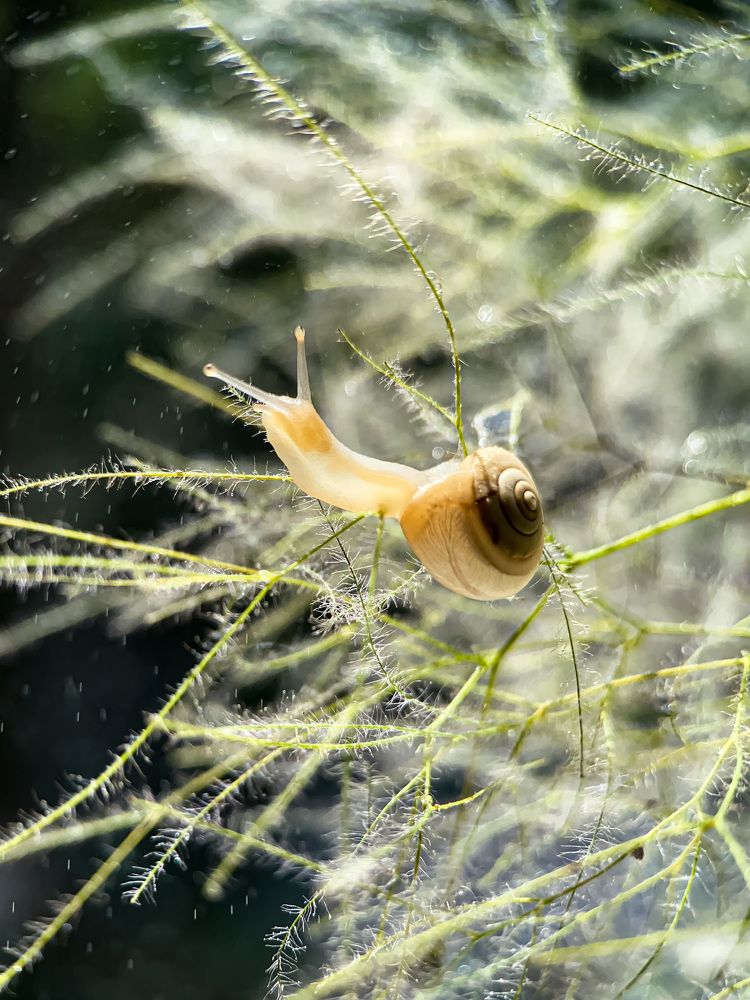 Photograph by Татьяна Висна