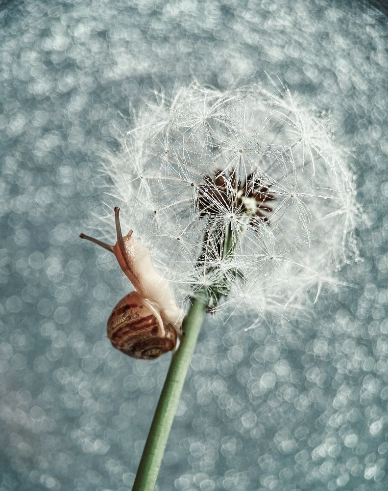 Photograph by Татьяна Висна