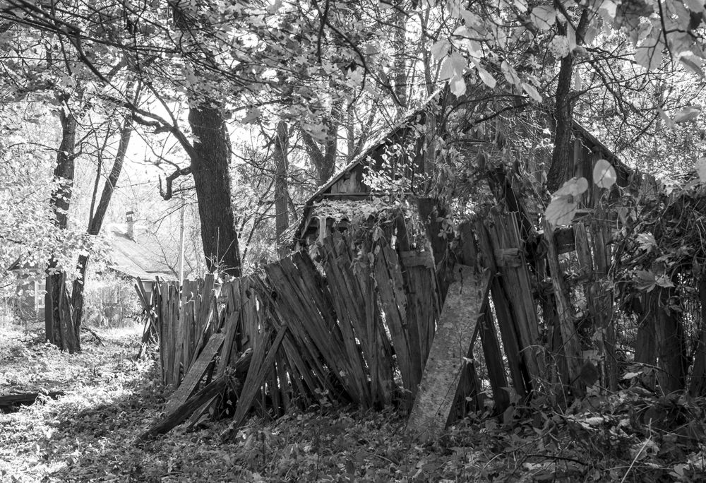 Photograph by Ольга Бондаренко