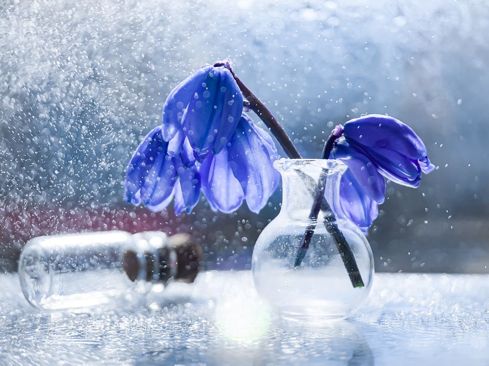 Пробуждение