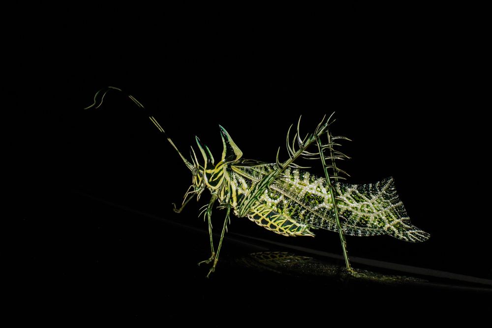 Photograph by Cathie Aalders-Taylor