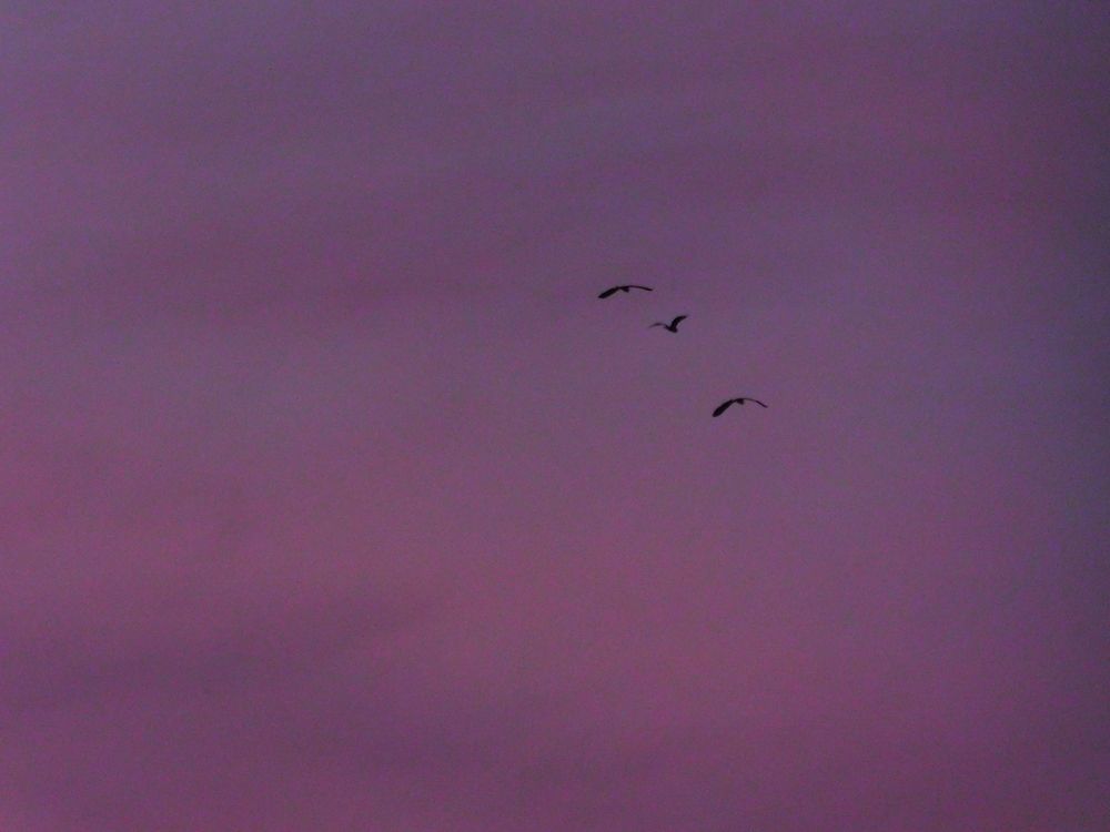 Photograph by Анастасия Афанасьева