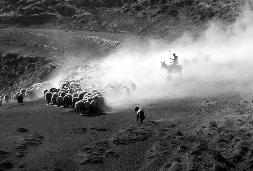 Photograph by Metehan Büyükkaya