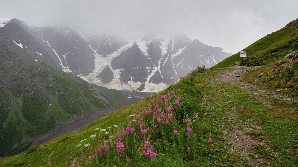 Photograph by Ирина