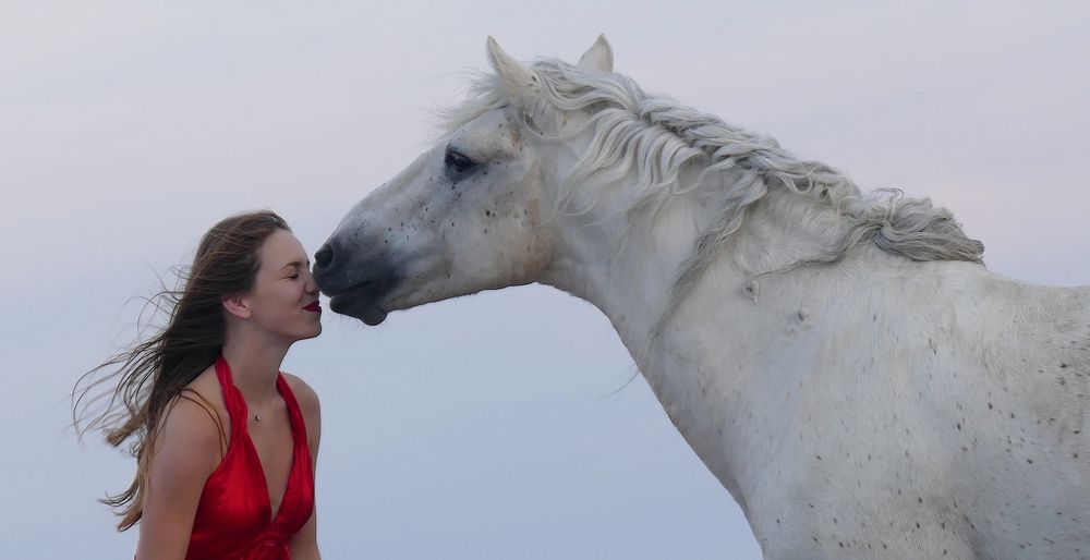 Une si belle Amitié !!