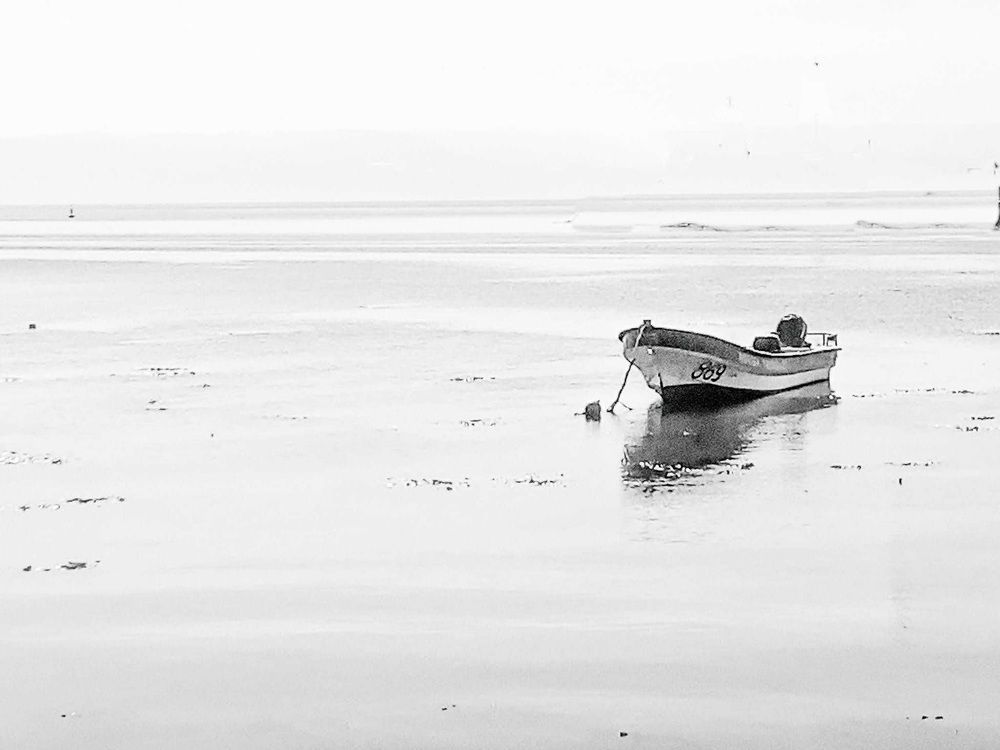 Photograph by Ronald Zambrano