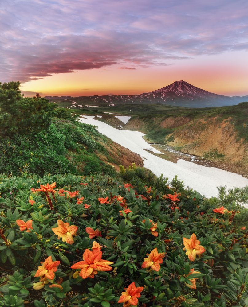 Photograph by Лариса Николаевна Дука