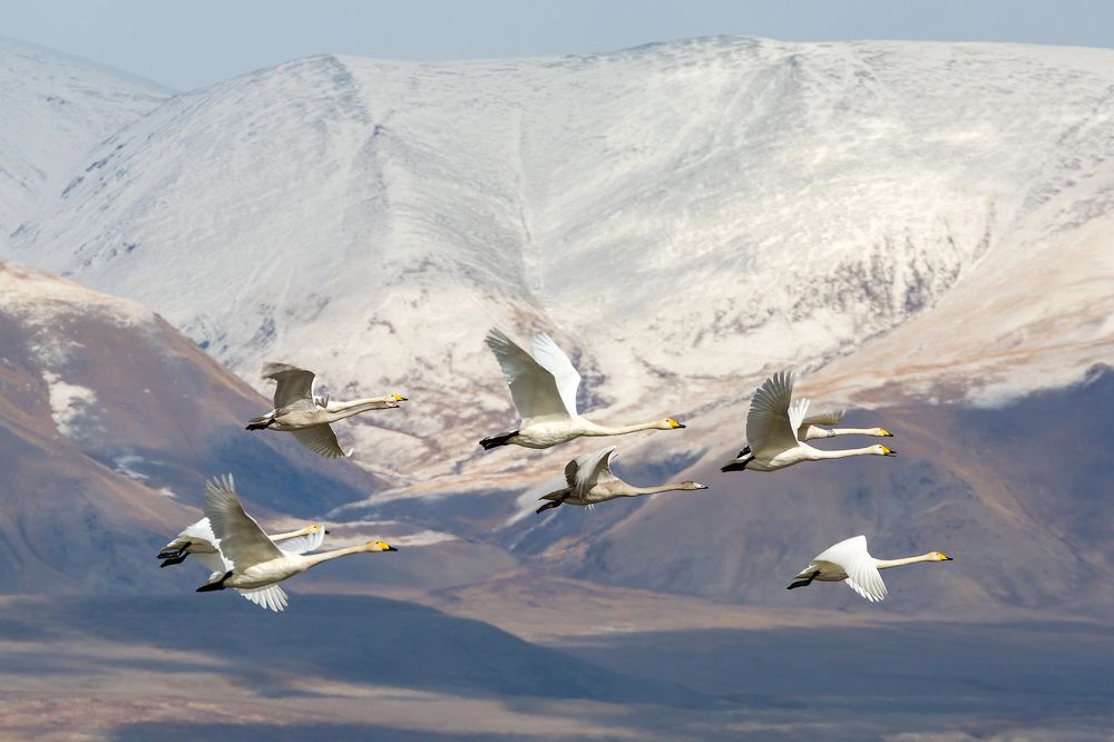 Photograph by Алексей Литвинов