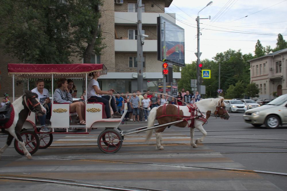 Photograph by Башлаев Константин
