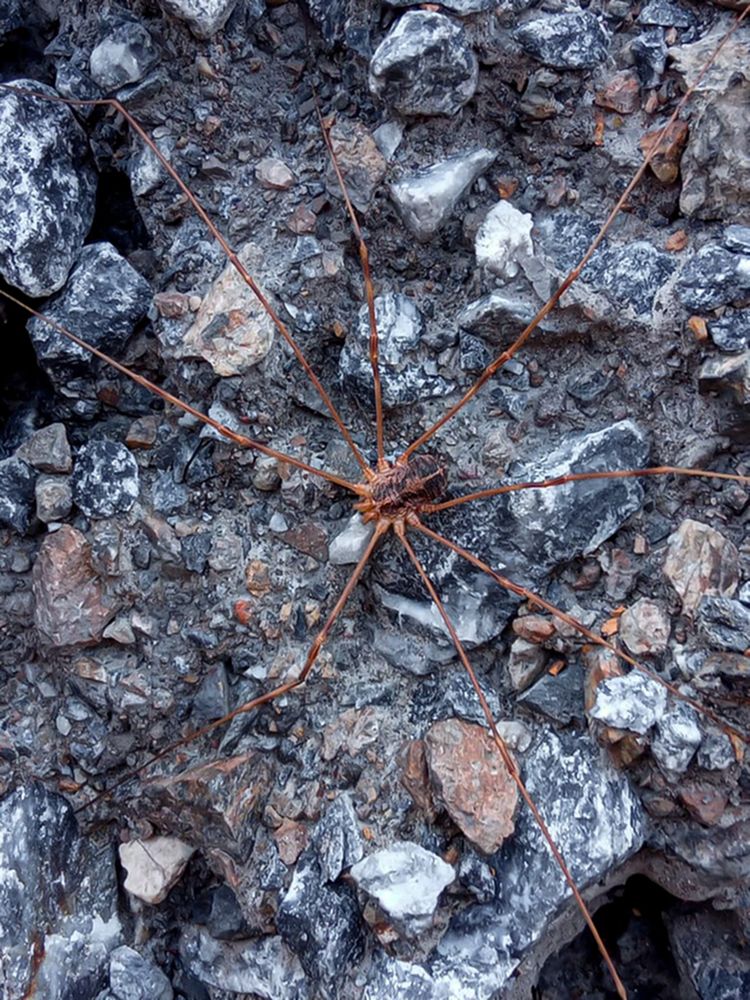 Photograph by Анна Чичилова