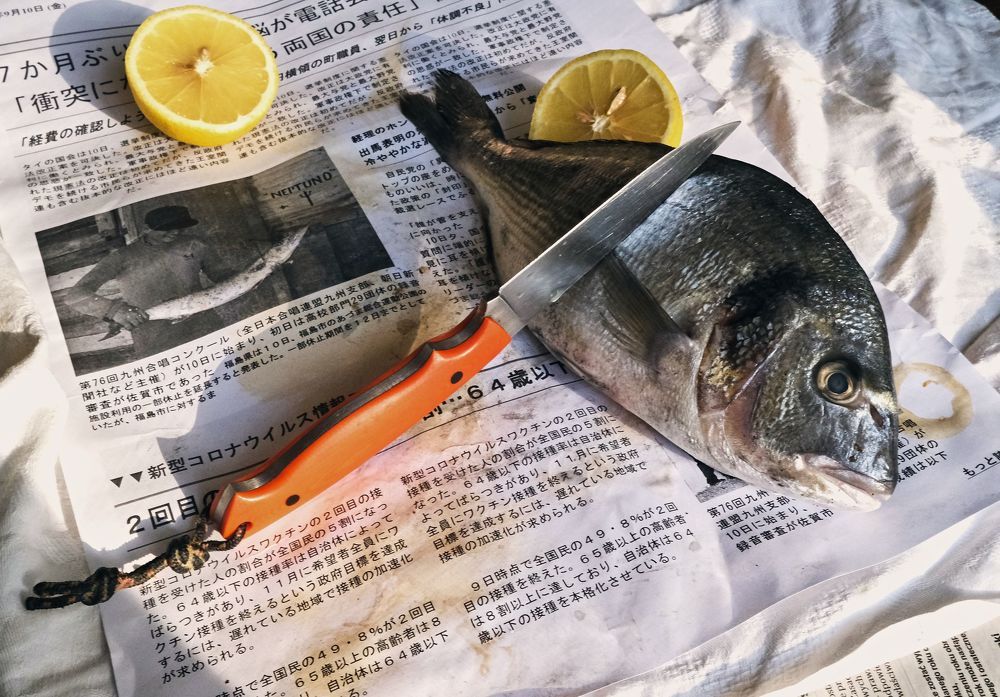 Photograph by Stefania Romanska