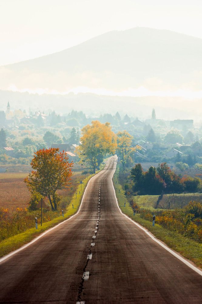 Photograph by Алексей Котлов