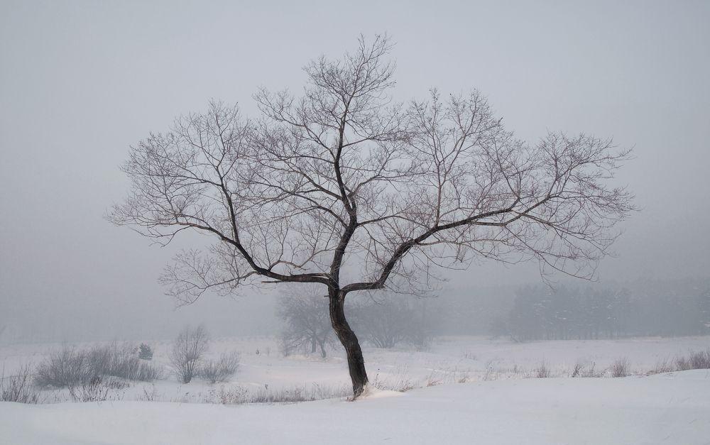 Photograph by Юрий Гау