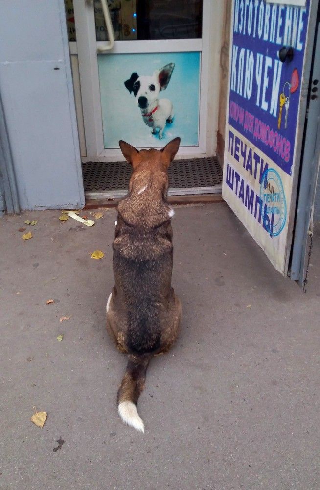 Photograph by Юлия Жулидова