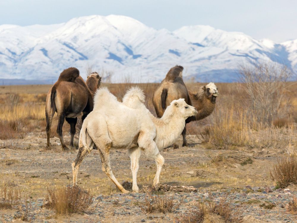 Photograph by Алексей Литвинов