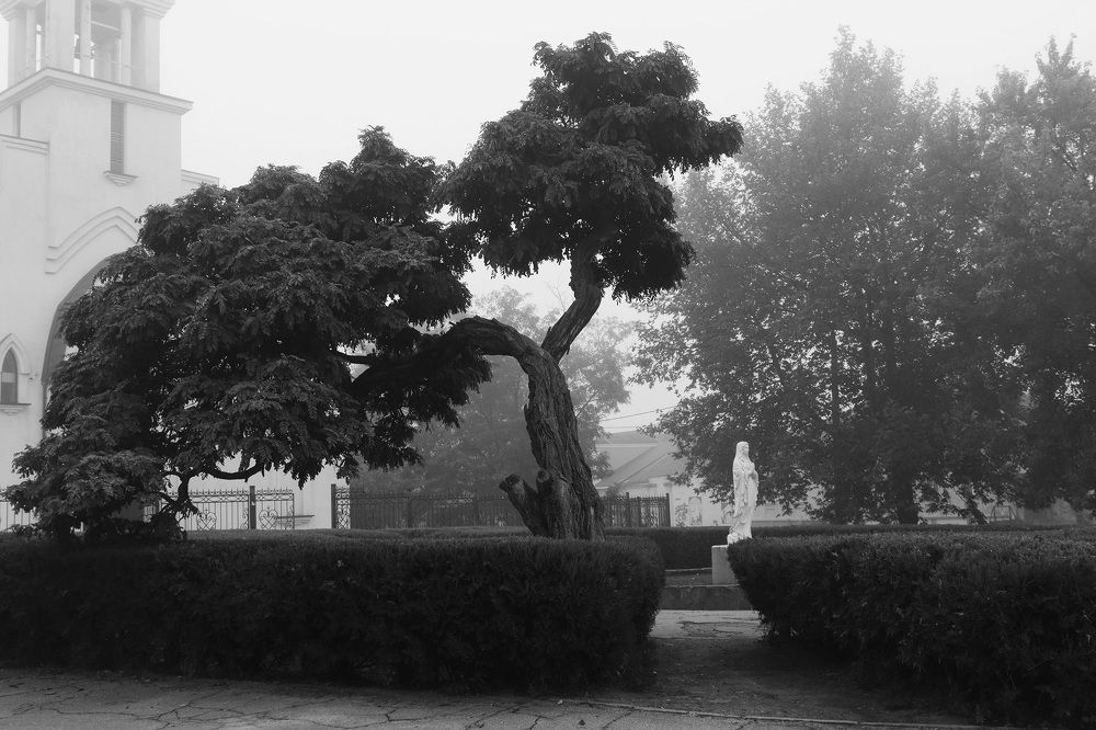 Church of the Sacred Hearth  of Jesus