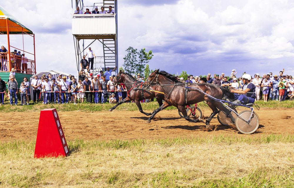 Фотография автора Рамиль Фаттахов