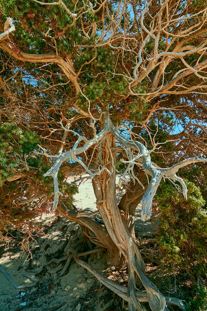 Photograph by Сергей Кириллов