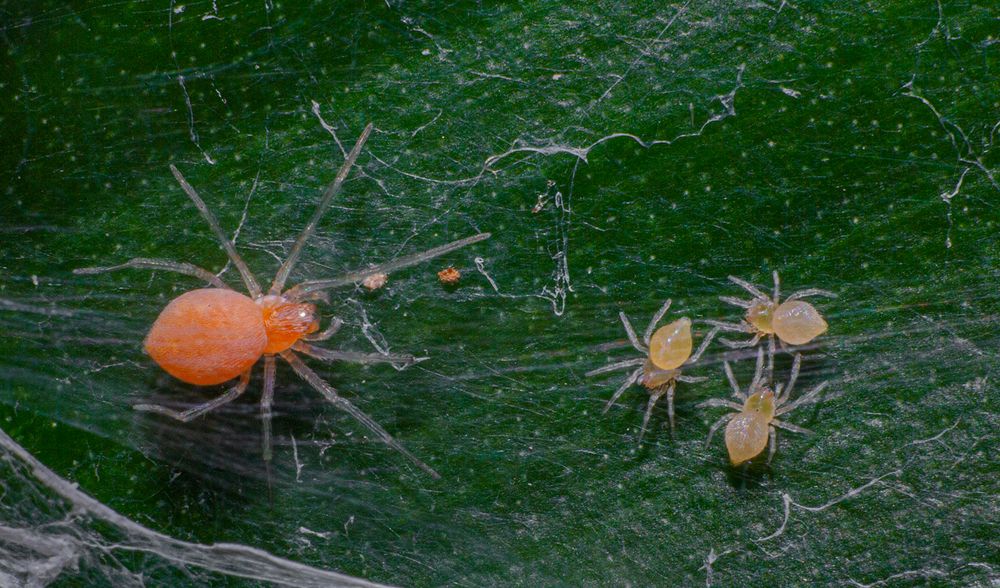 Photograph by Sasindu Pramuditha