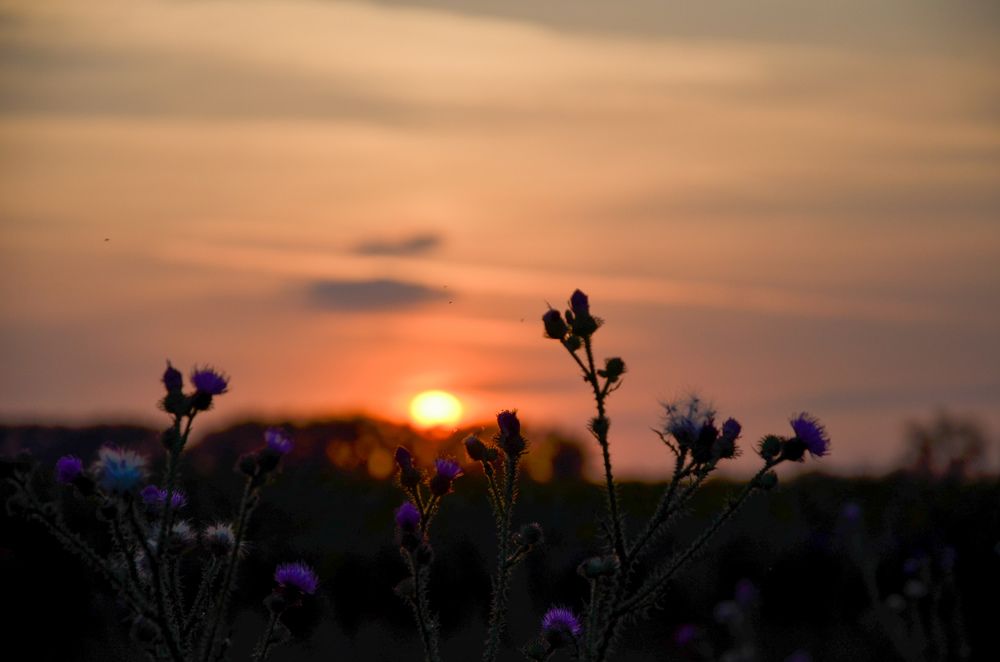 Photograph by Ольга Моисеева