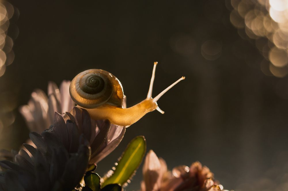 Фотография автора Анастасия