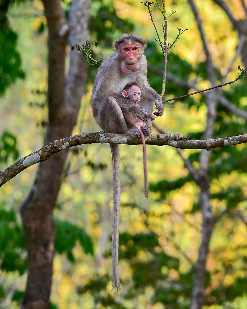 Photograph by HariKrishnan